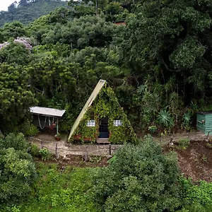 earth-lodge.guatemalaantiguahotels.com/